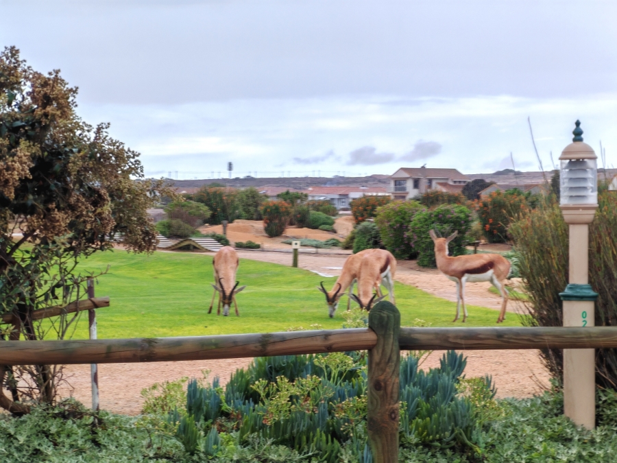 0 Bedroom Property for Sale in Langebaan Country Estate Western Cape